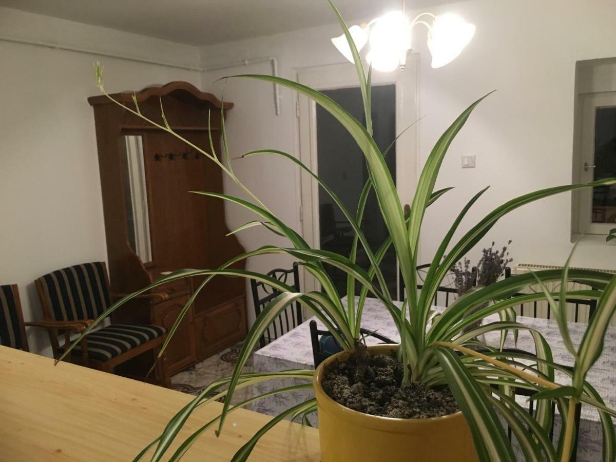 Levendula Apartmanhaz Apartment Sumeg Bagian luar foto